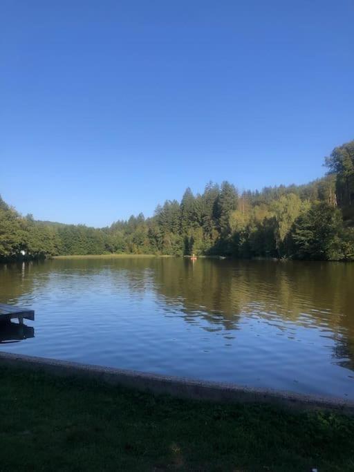 Gemuetliches Einliegerapartment, 50 Qm Trippstadt Exteriör bild