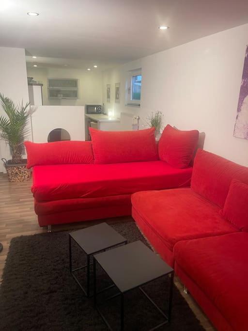 Gemuetliches Einliegerapartment, 50 Qm Trippstadt Exteriör bild