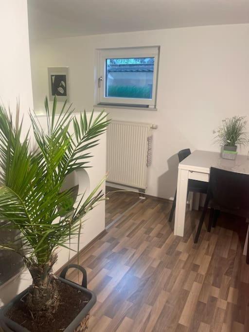 Gemuetliches Einliegerapartment, 50 Qm Trippstadt Exteriör bild